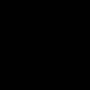 Meet your Posher, Trey